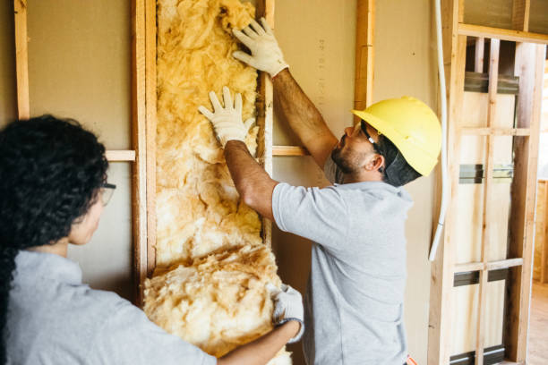 Types of Insulation We Offer in Sparta, GA